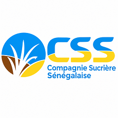 Logo CSS