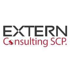 Logo EXTERN CONSULTING